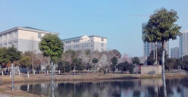 合肥滨湖职业技术学院校园环境
