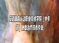 安徽体育运动职业技术学院（中专部）康复治疗技术专业