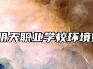青岛明天职业学校环境好吗？