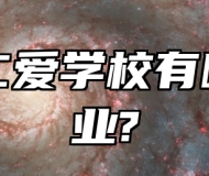 青岛仁爱学校有哪些专业?