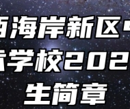 青岛西海岸新区中德应用技术学校2024年招生简章