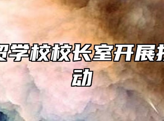 淮南科贸学校校长室开展扶贫日活动