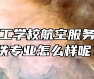 宣城市理工学校航空服务专业和高铁专业怎么样呢？