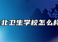 淮北卫生学校怎么样？
