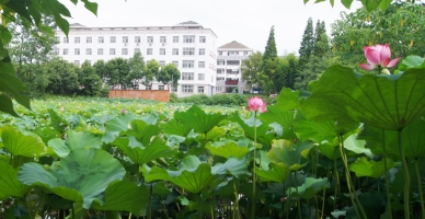 宣城市理工学校校园环境