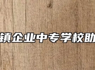 阜阳乡镇企业中专学校助学政策