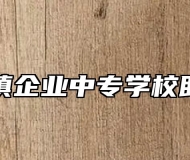 阜阳乡镇企业中专学校助学政策