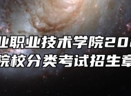 安徽工业职业技术学院2024年高职院校分类考试招生章程