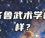 临淄齐鲁武术学校怎么样？