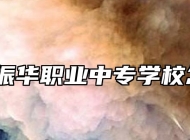 六安市振华职业中专学校怎么样？