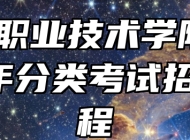 合肥职业技术学院2024年分类考试招生章程
