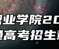 徽商职业学院2024年普通高考招生章程
