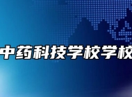 亳州中药科技学校学校荣誉