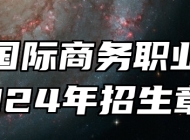 安徽国际商务职业学院2024年招生章程