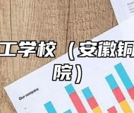 铜陵市理工学校（安徽铜陵技师学院）