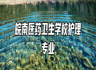 皖南医药卫生学校护理专业