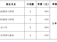 长沙民政职业技术学院2024年分类考试招生计划