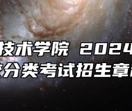 宣城职业技术学院​2024年高职院校分类考试招生章程