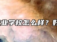 阜阳农业学校怎么样？好不好？
