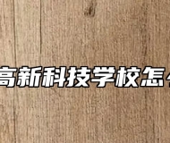 合肥高新科技学校怎么样？