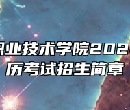 安徽工业职业技术学院2024年成人学历考试招生简章