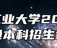 合肥工业大学2025年普通本科招生章程