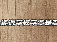 安徽能源学校学费是多少？