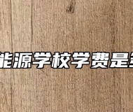安徽能源学校学费是多少？
