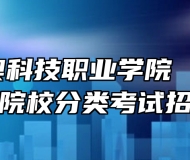 安徽中澳科技职业学院2024年高职院校分类考试招生章程