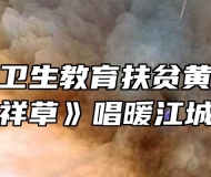 芜湖医药卫生教育扶贫黄梅戏《吉祥草》唱暖江城