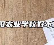 阜阳农业学校好不好？