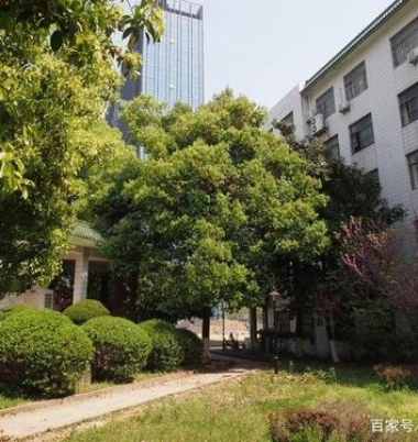 安徽交通职业技术学院校园环境