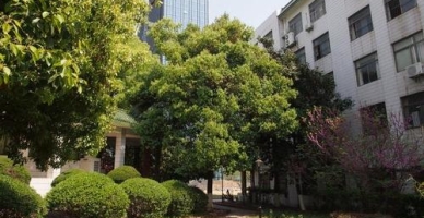 安徽交通职业技术学院校园环境