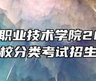 合肥滨湖职业技术学院2023年高职院校分类考试招生章程