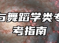 音乐与舞蹈学类专业报考指南