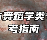 音乐与舞蹈学类专业报考指南