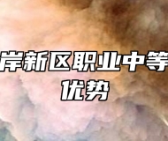 青岛西海岸新区职业中等专业学校优势