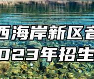 青岛西海岸新区音乐学校2023年招生简章