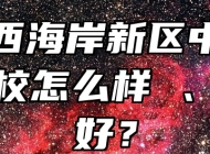 青岛西海岸新区中德应用学校怎么样 、好不好？