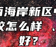 青岛西海岸新区中德应用学校怎么样 、好不好？