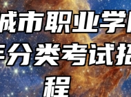 滁州城市职业学院2024年分类考试招生章程 