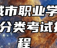 滁州城市职业学院2024年分类考试招生章程 