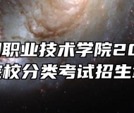 合肥滨湖职业技术学院2024年高职院校分类考试招生章程