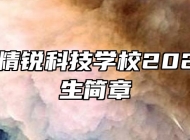 淮南市精锐科技学校2022年招生简章
