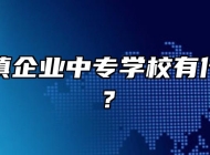 阜阳乡镇企业中专学校有什么专业？