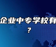 阜阳乡镇企业中专学校有什么专业？