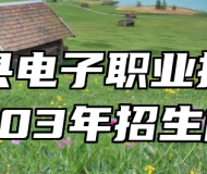 宿松县电子职业技术学校203年招生简章