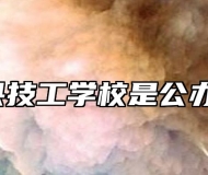 太湖县技工学校是公办的吗?