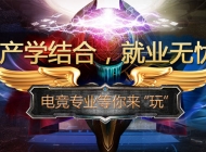 安徽新华高级技工学校电子竞技运动服务与管理专业