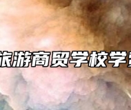 滁州市旅游商贸学校学费多少？